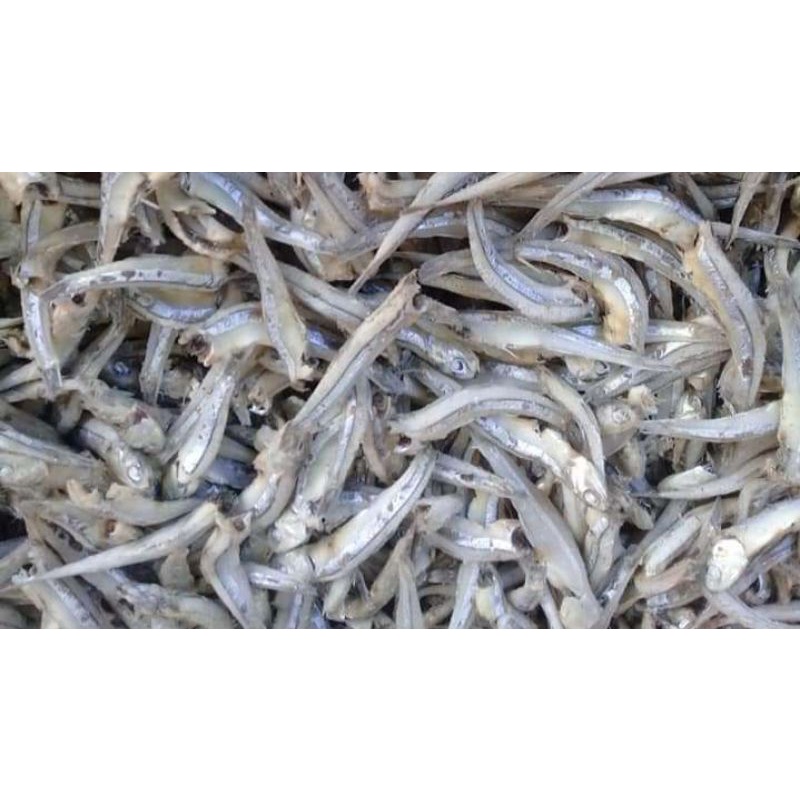 

Ikan Teri Sibolga 1 kg