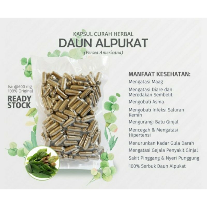

Kapsul Biji Alpukat Menghaluskan Kulit Mengobati Ginjal Lambung Herbal Alami