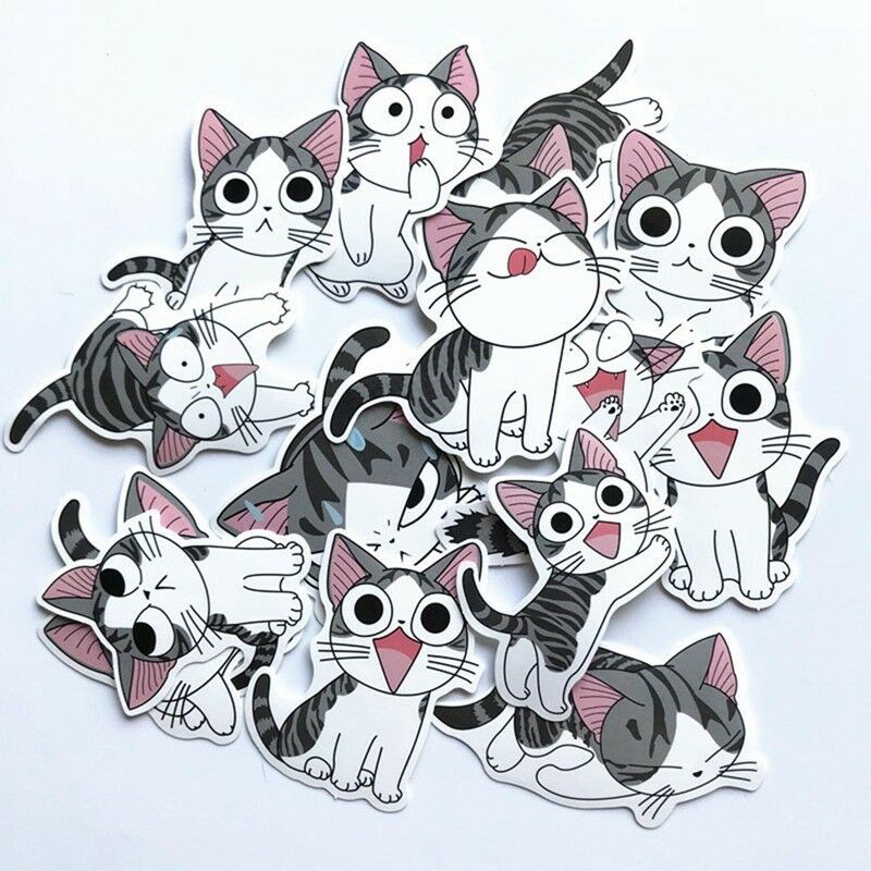 Gambar Stiker Kucing Lucu 