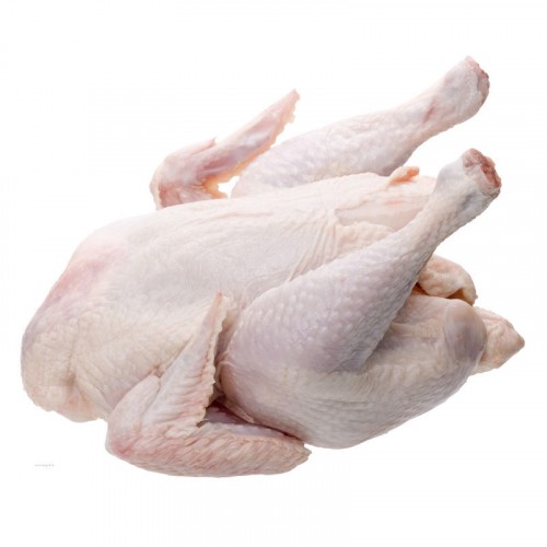 

Ayam Broiler Daging Segar Bandung