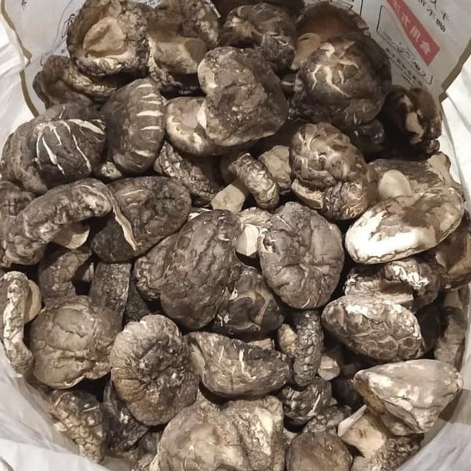 

TERMURAH Jamur Hioko - Shitake 100gr Kode 140