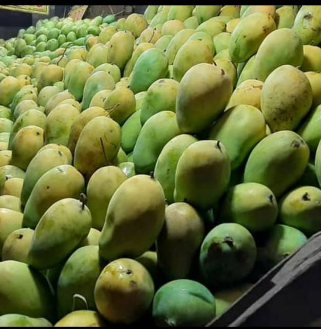 Mangga harum manis