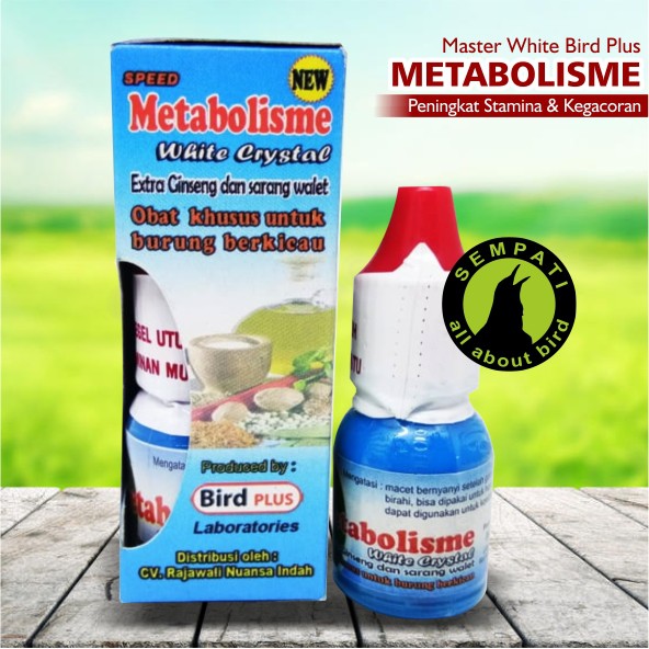 Metabolisme White Bird Plus Obat Burung Sakit Macet Bunyi