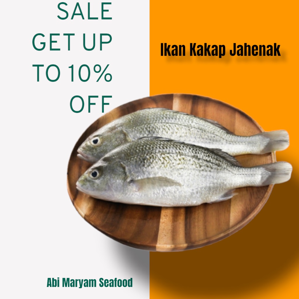 

Ikan Kakap Jenaha / Kakap grift Fresh Berkualitas 1kg