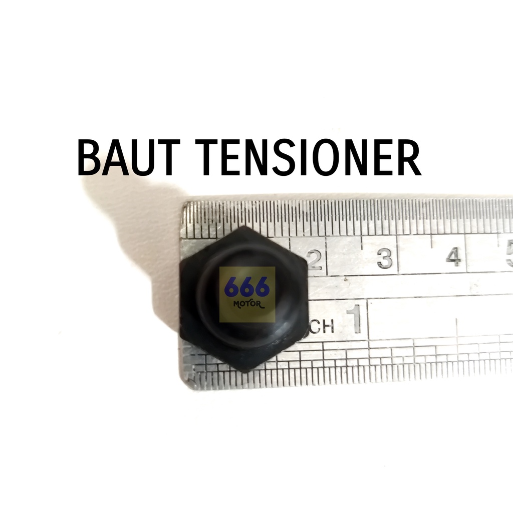 BAUT TENSIONER