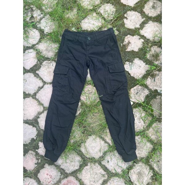 celana cargo carhartt