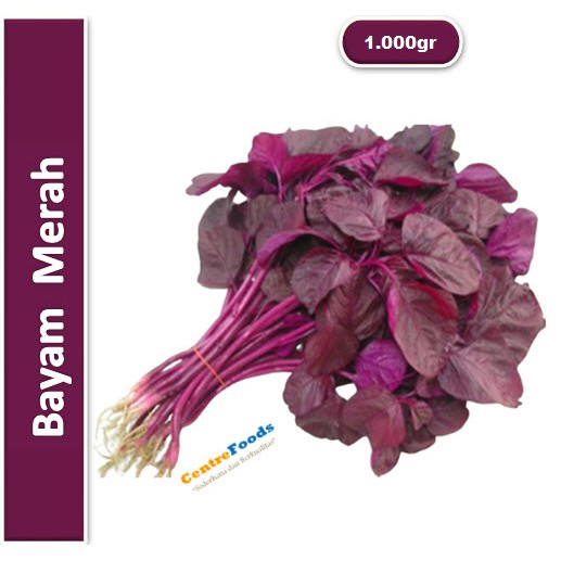 

Bayam Merah Fresh | Jabar [ Harga Per KG ]