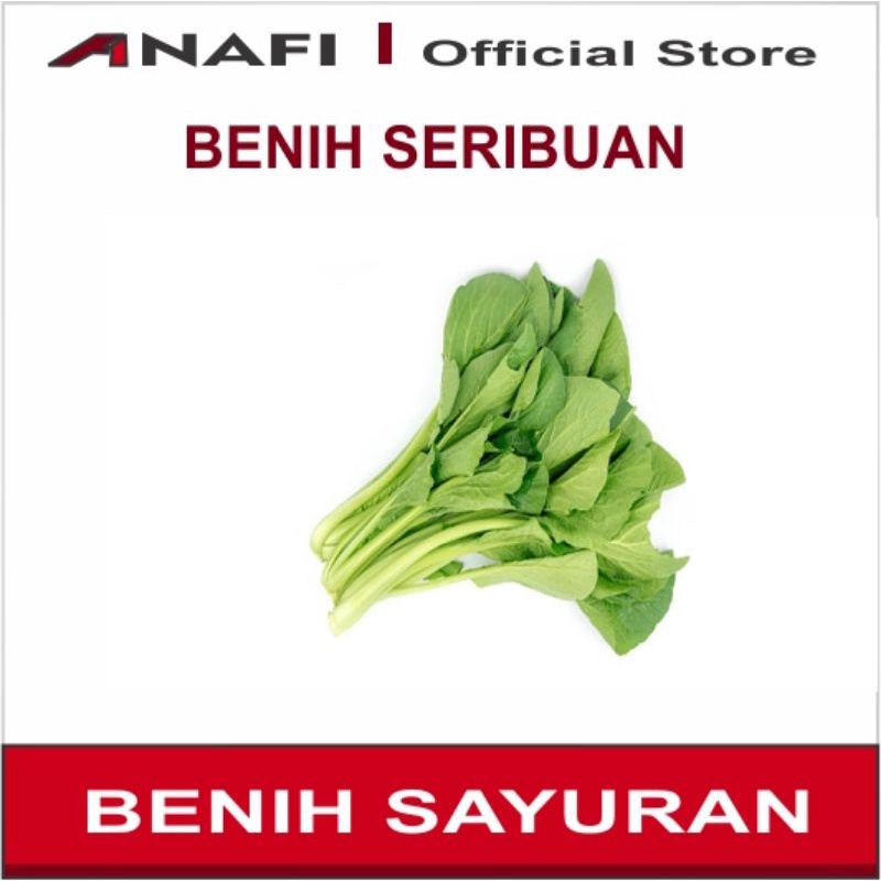 Benih Sayuran bayam Sayur Bibit Tanaman  benih sayuran Seribuan / Sayuran Hidroponik