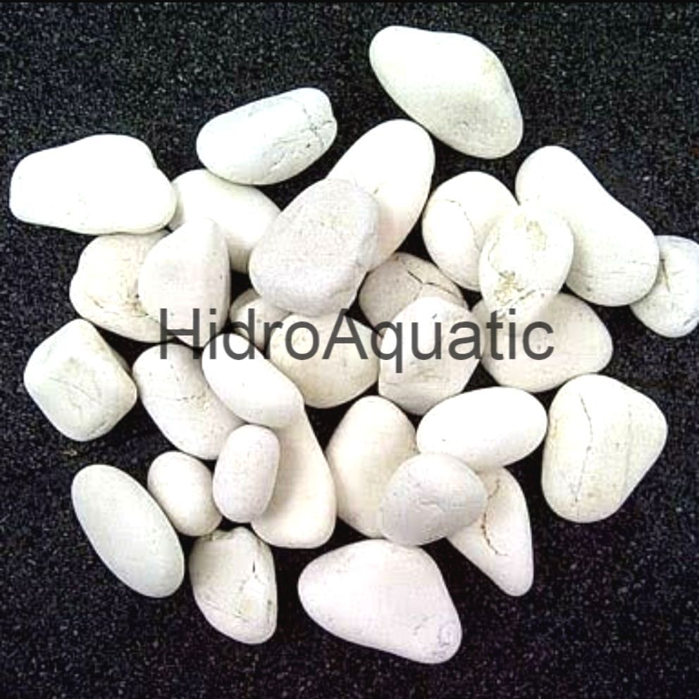 Batu putih ISI 500gram / Batu koral Putih / Hiasan aquarium / Hiasan Pot Tanaman / Hiasan Taman