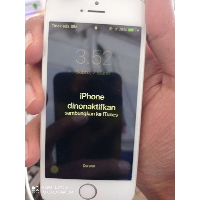 iphone 5s minus