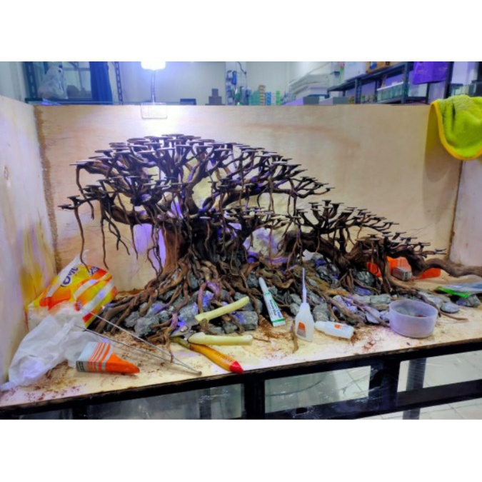 Tatakan Moss Bonsai Aquascape aquarium batok kelapa