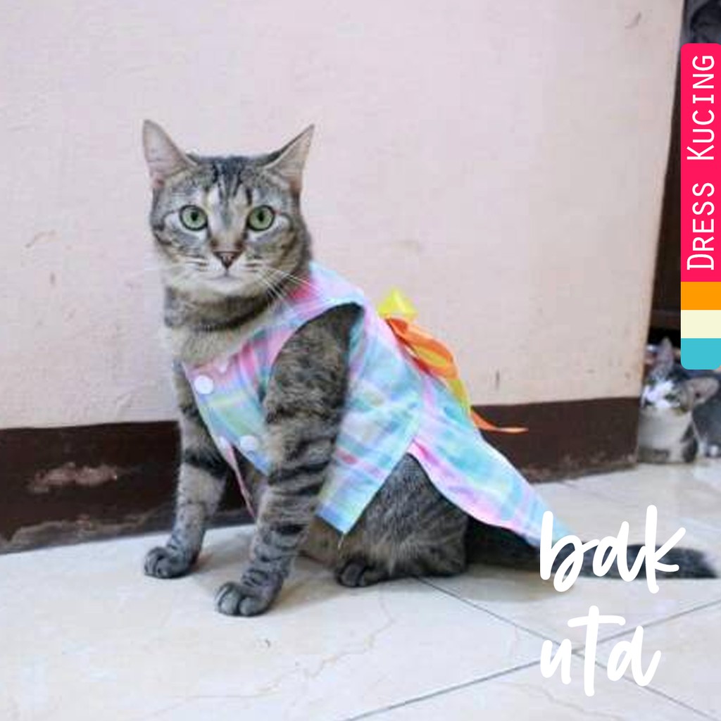 Dress kotak-kotak pelangi lucu untuk kucing dan anjing size S M L XL