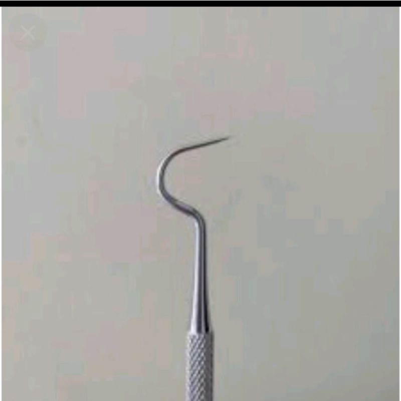 Sonde Gigi Halfmoon Dental
