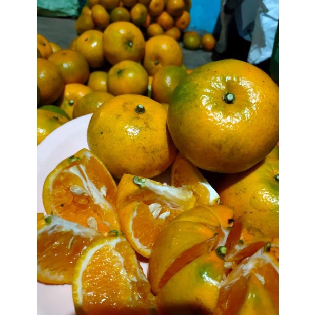

jeruk gerga pagaralam