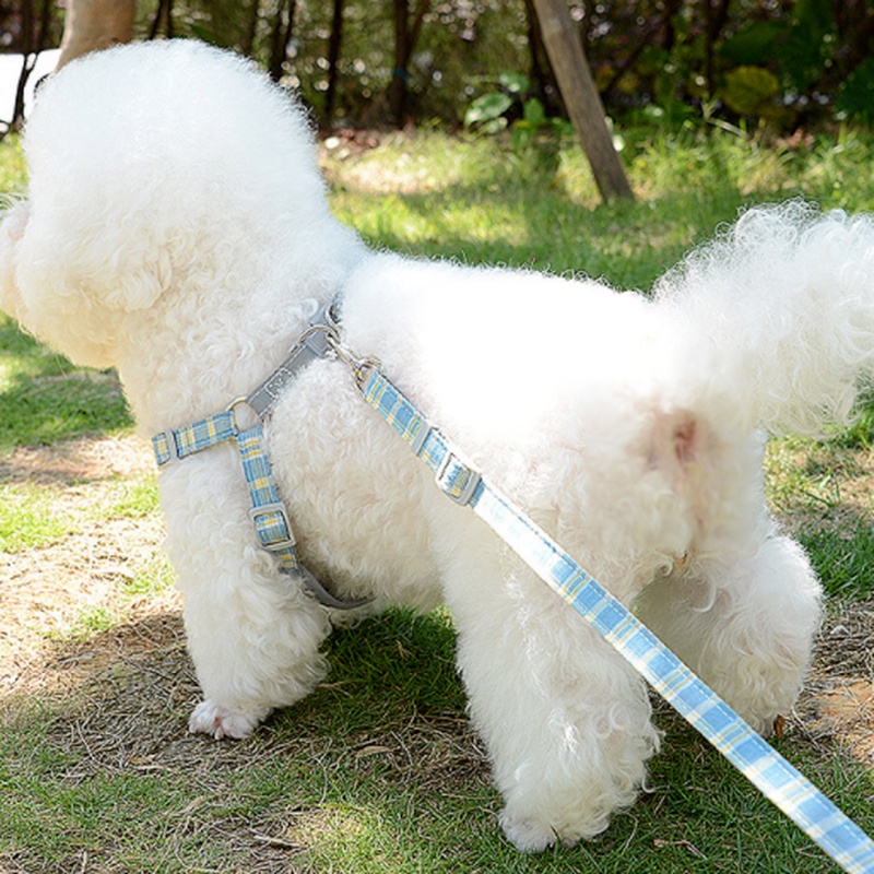 Rompi Harness Breathable Motif Kotak-Kotak Reflektif Untuk Anjing