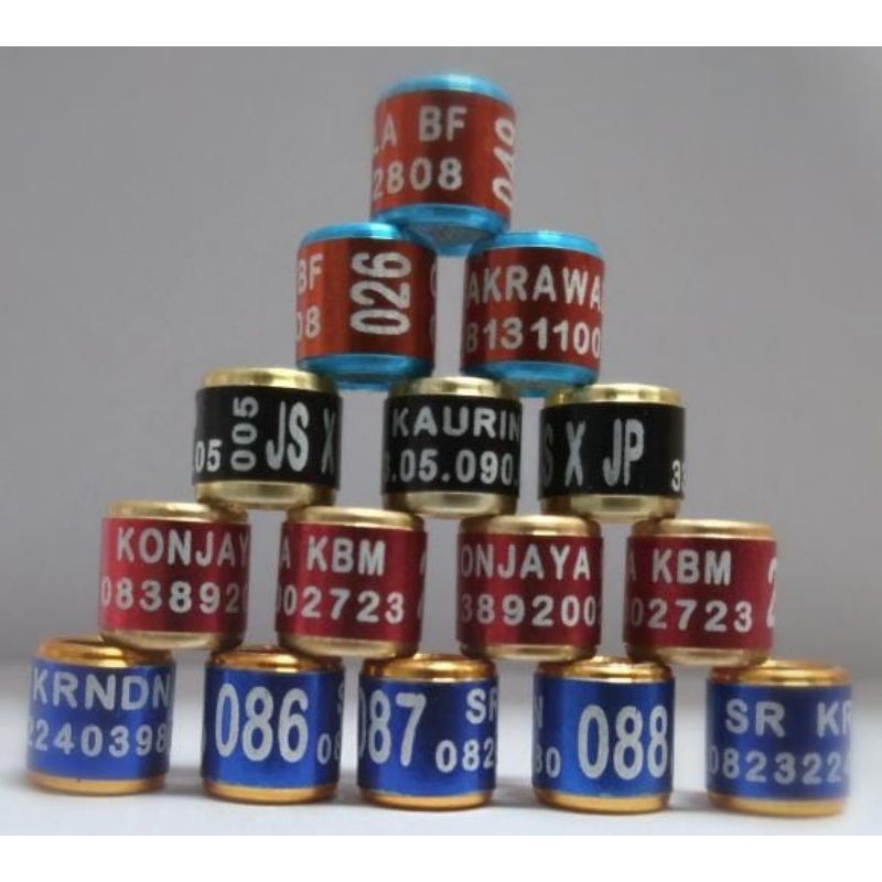 RING BURUNG LASER MK 3 PUTER PELUNG DERKUKU JALAK BRAJANGAN TRUCUK KEKEP BABI FALK DLL