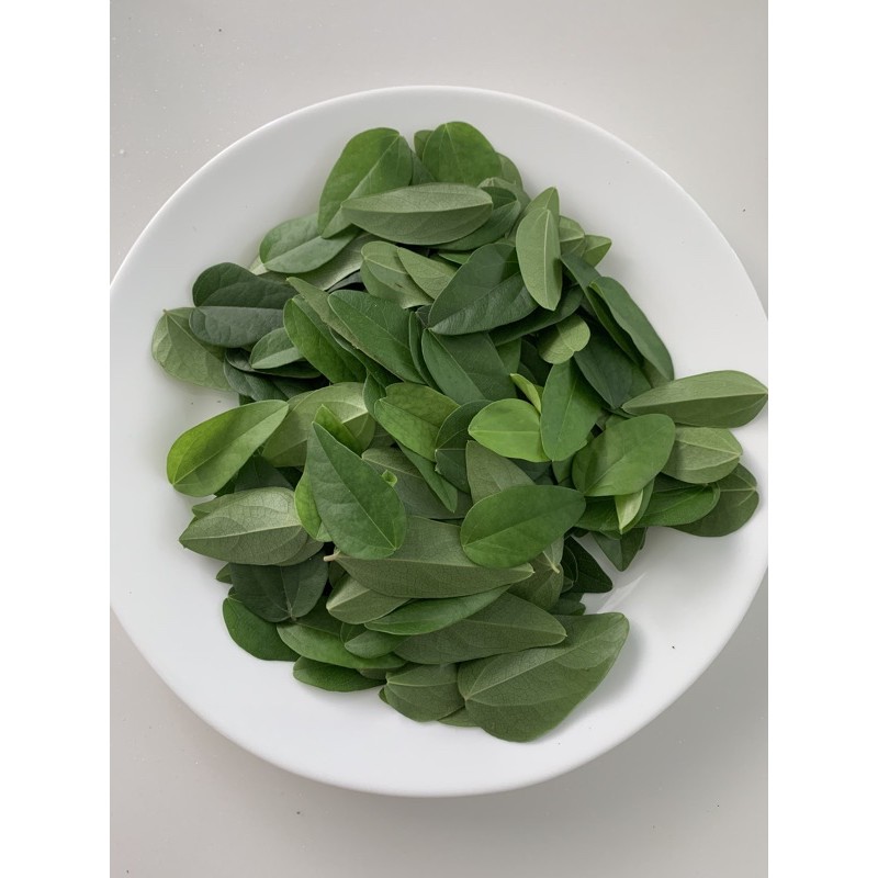 

Daun Cincau Hijau 100gr