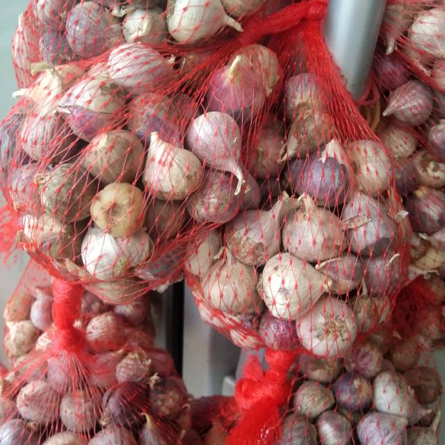 

Bawang tunggal 250 gram