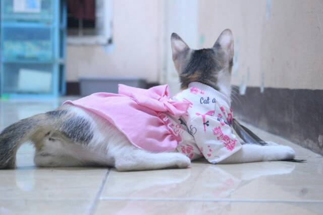 Dress bahan kaos kitty pink lucu untuk kucing dan anjing / baju kucing tangerang murah size S M L XL