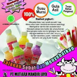 Yoghurt Yogurt Sehat My Yogurt isi 30