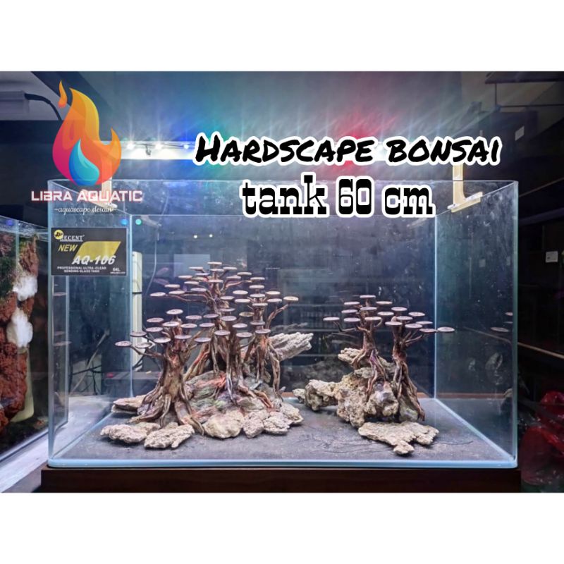 HARDSACPE BONSAI AQUASCAPE | BONSAI AQUASCAPE BONUS MOSS