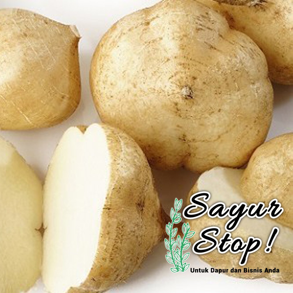 

Sayur Stop Bangkoang / Bengkoang 1kg