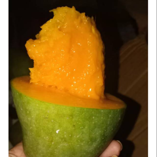 

Mangga alpokat