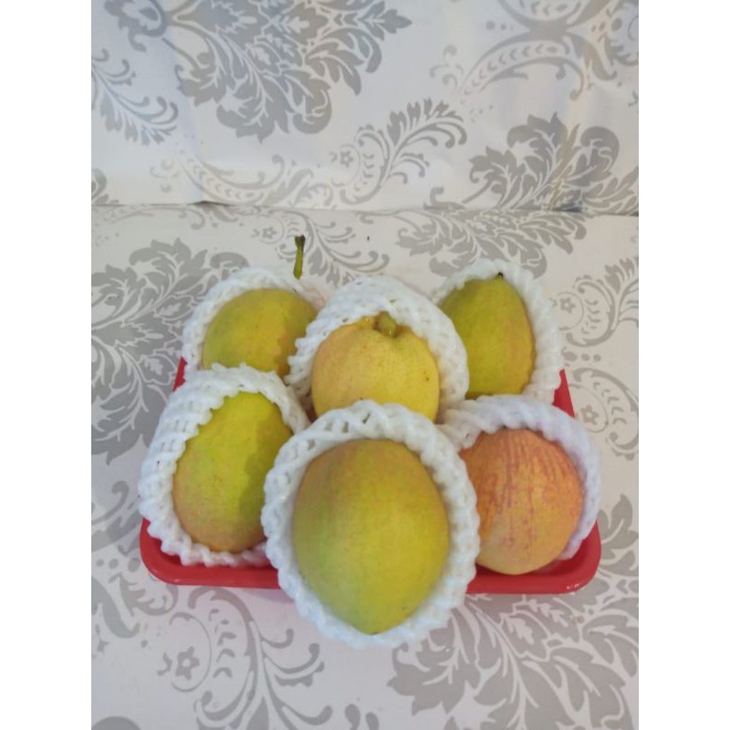 

BUAH SEGAR ALBAROKAH PEAR XIANGLI JUMBO