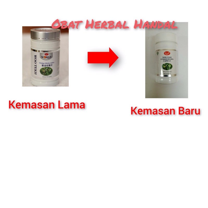 Ginkgo Biloba Wootekh