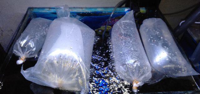 Pupuk Cair Ferti One Macro+ 200ml