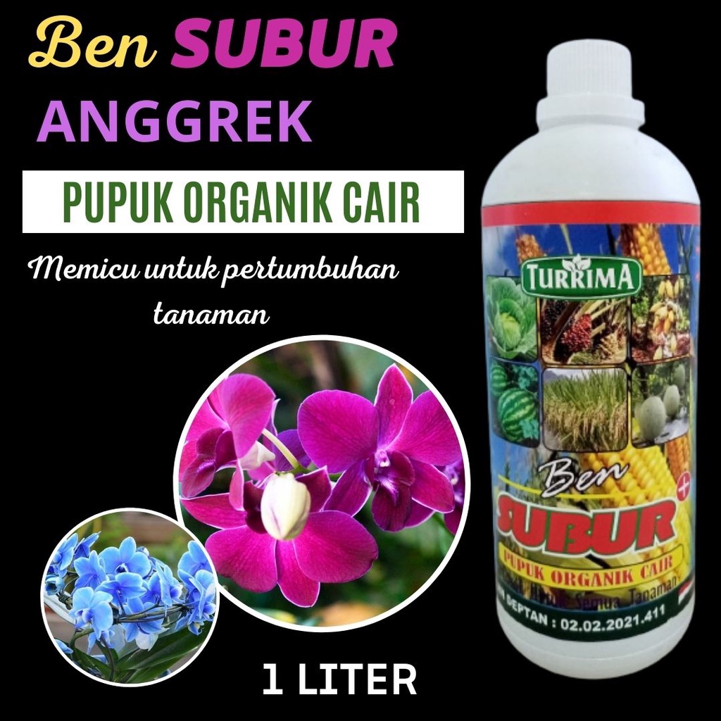Ben Subur Pupuk Organik Cair Untuk Anggrek, Pupuk Anggrek Cepat Berbunga