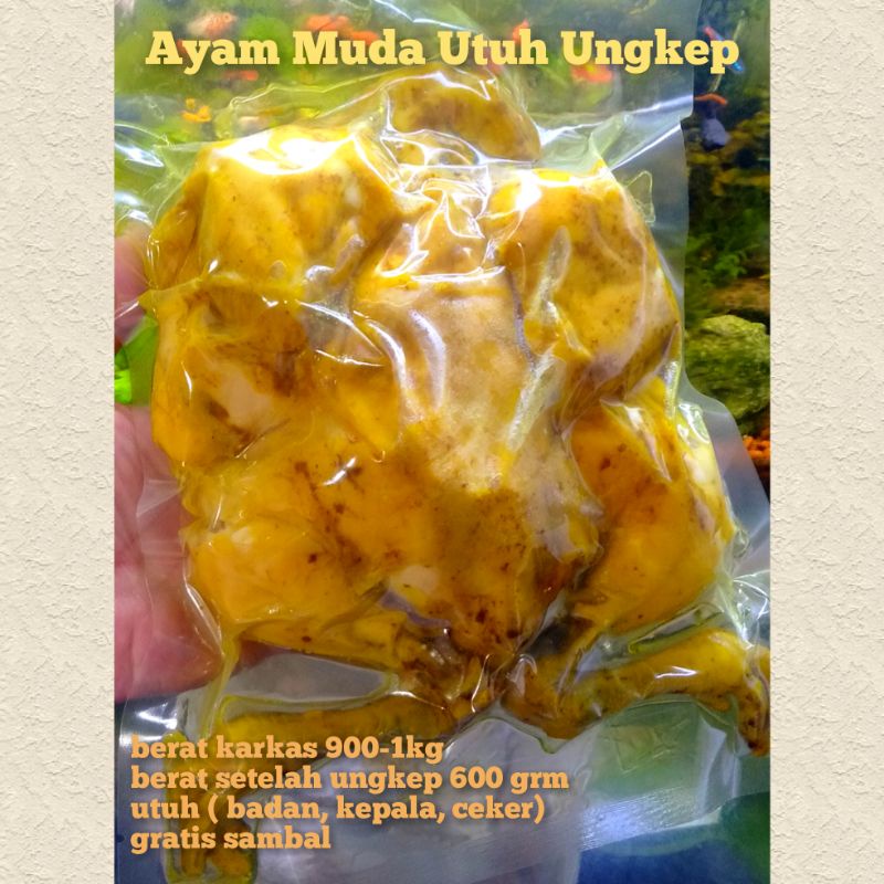 

AYAM MUDA UNGKEP FROZEN KHAS SOLO