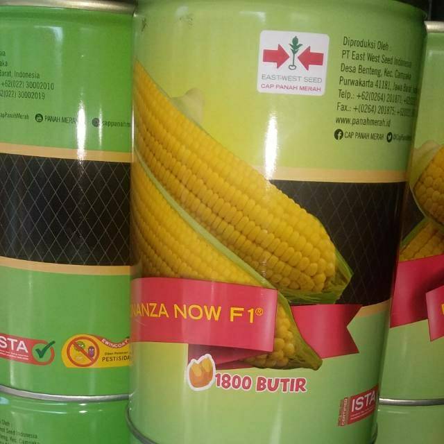 BONANZA NOW F1 1800 BUTIR