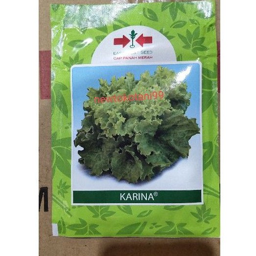 Benih selada hijau keriting KARINA 15 gram dari panah merah