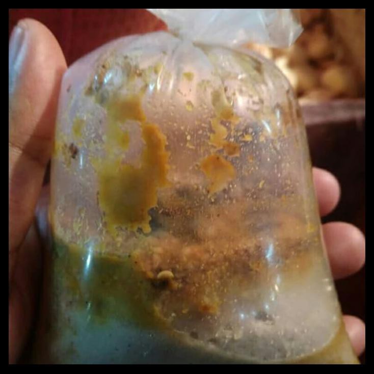 

Bumbu Giling Halus Opor Ayam Bumbu Dapur Harga Grosir Murah