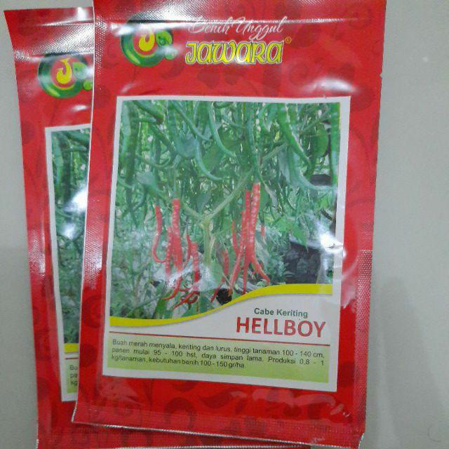Bibit Cabe Keriting Hellboy Isi 5 Gram | Benih Cabe | Bibit Cabai Keriting | Bibit Unggul