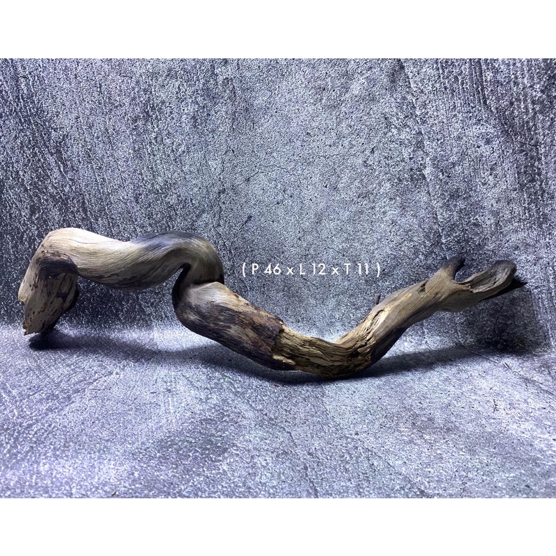 Kayu Santigi aquascape