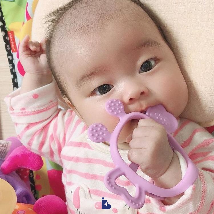 Mama’s Tem JemJem Monster Teether Bunny Case | Gigitan Bayi