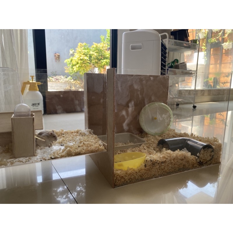 po kandang hamster akrilik acrylic