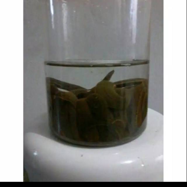 Alat terapi kesehatan