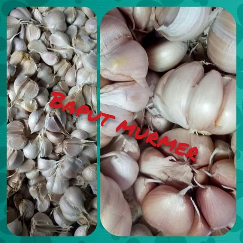 

Bawang putih