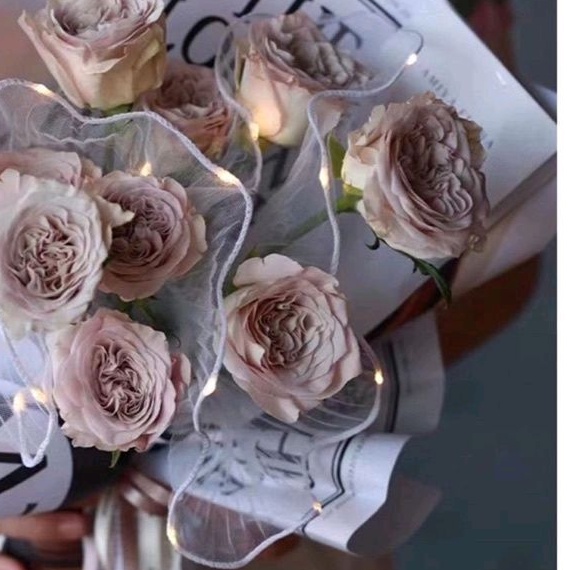 

WRAPING BOUQUET PLISKET LED