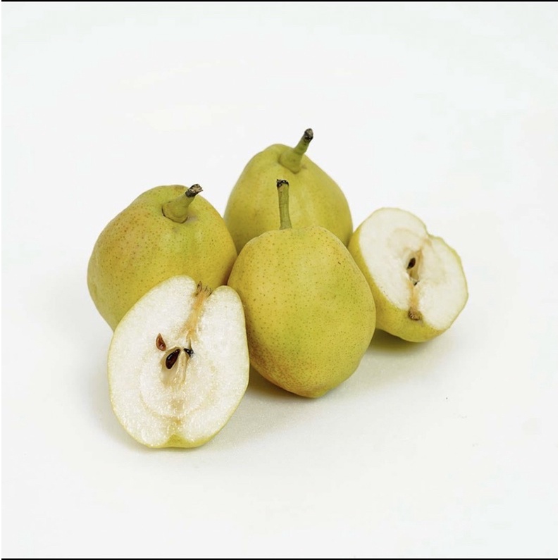 

pear hijau xiang lie fresh Import 1kg