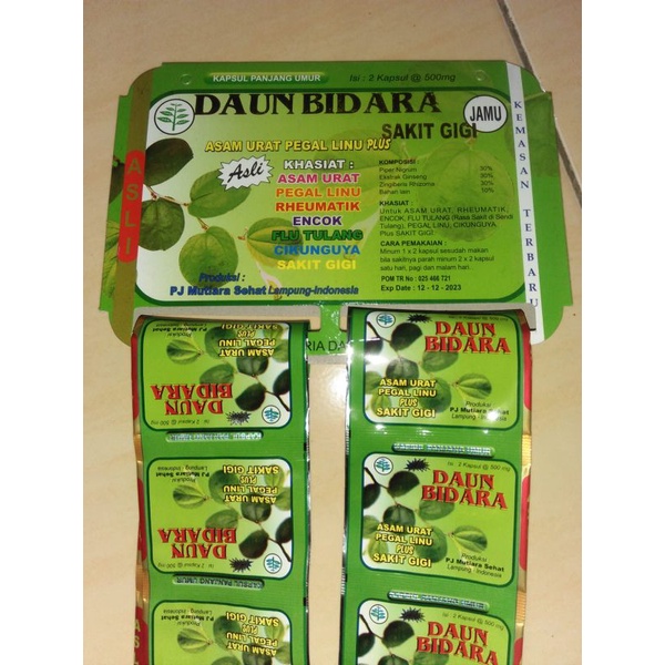 kapsul daun bidara