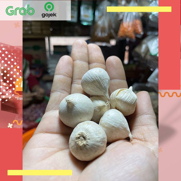

Bawang Putih Tunggal / Bumbu masak