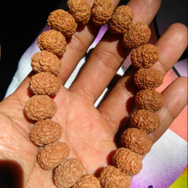 Gelang jenitri mukhi 9 dan mukhi 8