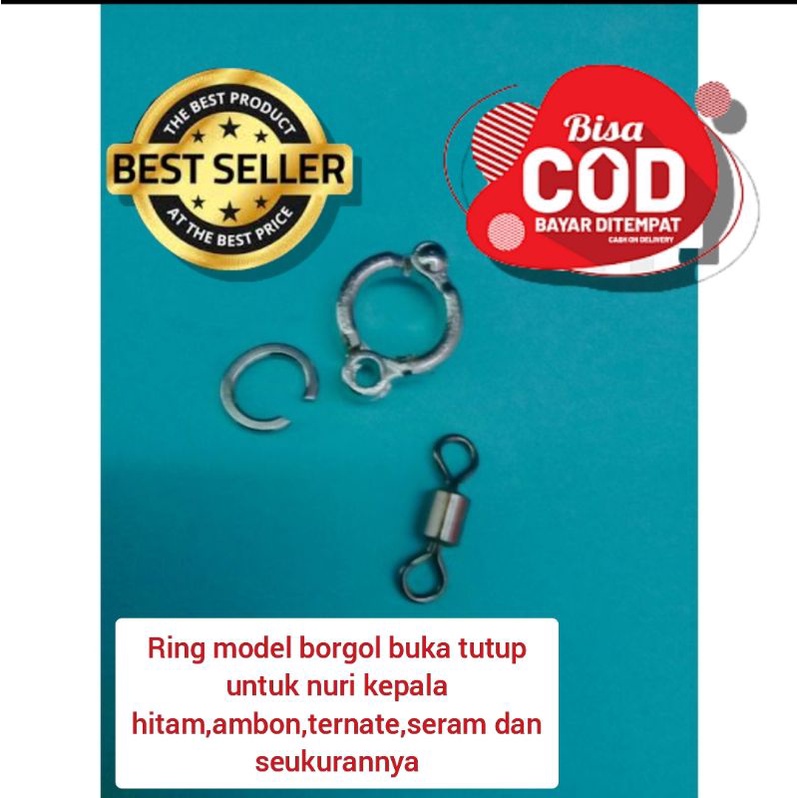 RANTAI BURUNG NURI KEPALA HITAM NURI TERNATE NURI AMBON NURISERAM