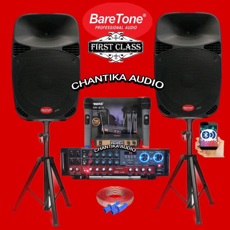 Paket sound system Baretone 15 inch Outdoor Indoor bluetooth karaoke