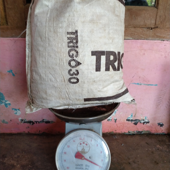 Media Andam Karungan.