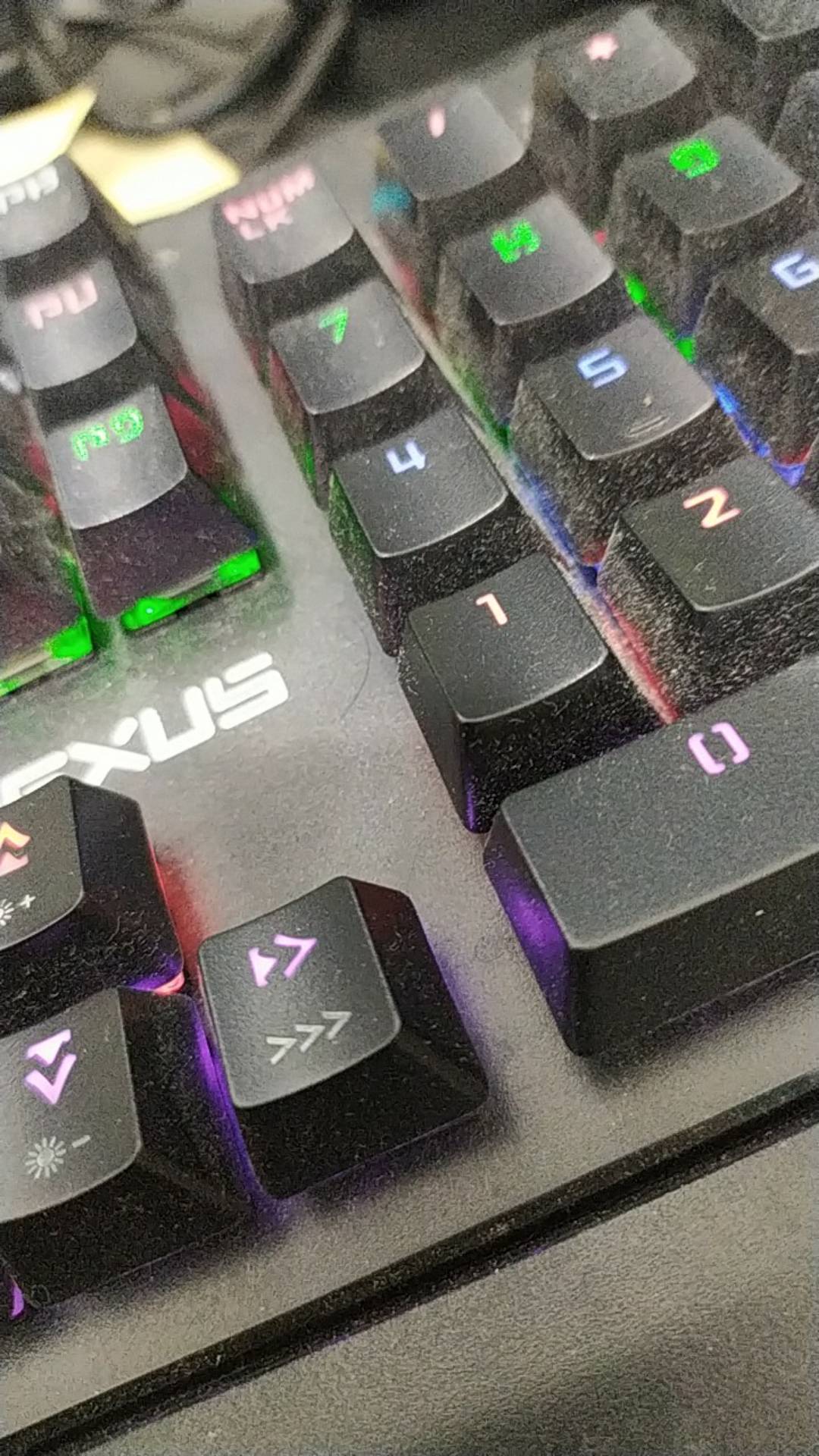 [yr] Cantolan Peralatan Dapur Serbaguna